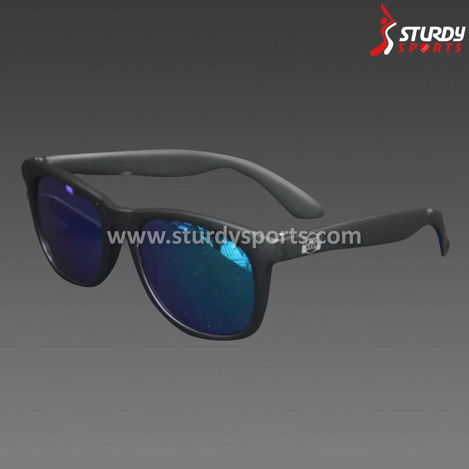 SS Classy Sunglasses